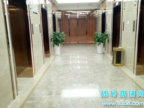 () (ę́ã600ƽ װȫ뿴ԿʵͼƬ