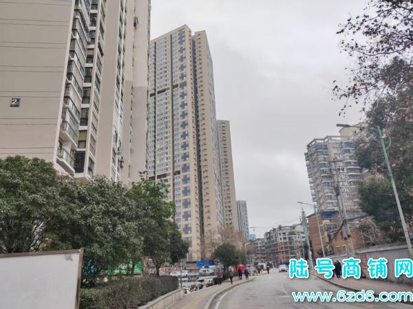 Сת̴ƹݵͼתãվɼ600ƱʵͼƬ