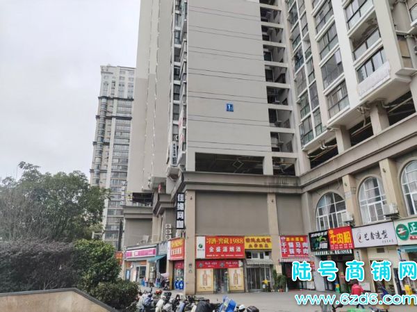 Сת̴ƹݵͼתãվɼ600ƱʵͼƬ