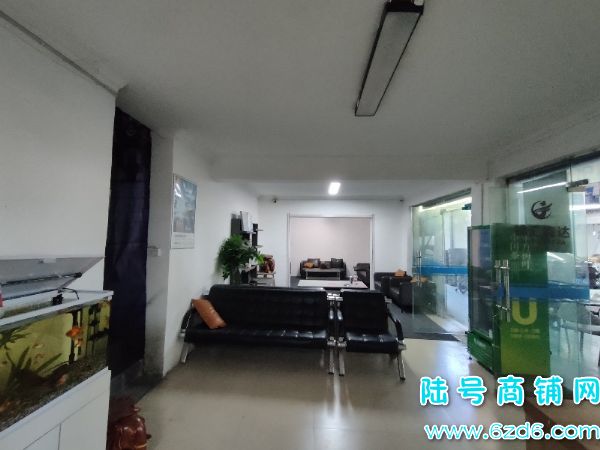 ½ţСӳ·޳תãϻŴʵͼƬ