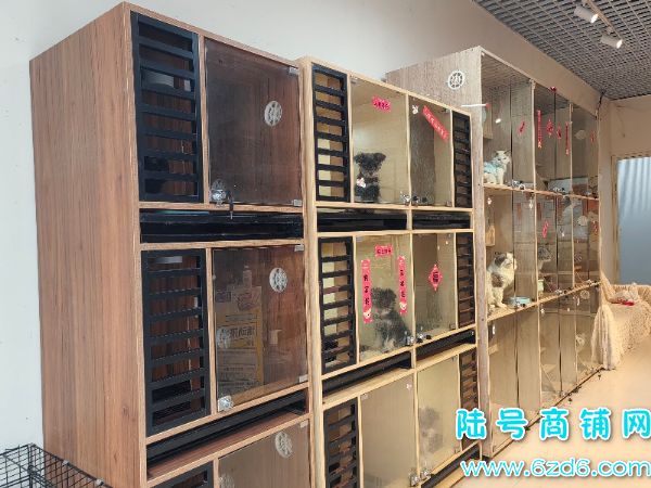 ½ţͼ1Wת ԰J7ϵתʵͼƬ