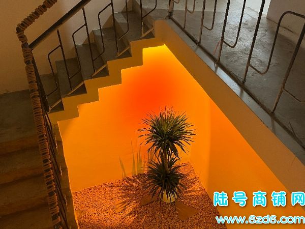 ½ţ»·200ƽתã1300ʵͼƬ