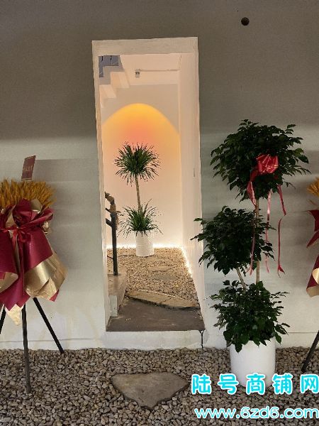 ½ţ»·200ƽתã1300ʵͼƬ