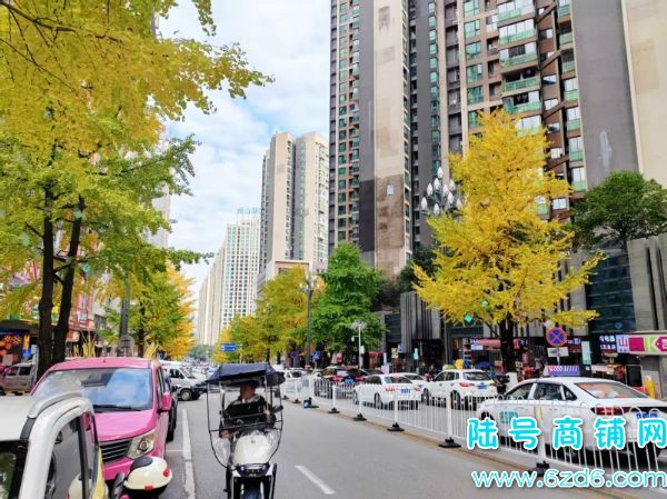 ɽչ·210ƽͷٽֲתãʵͼƬ