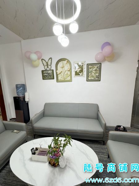 װ޵̵ͼ۴תãͷ꼴ʵͼƬ