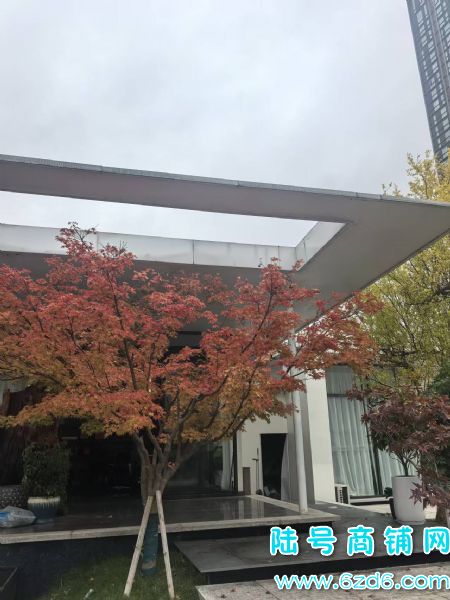 1500ƽװ칫س ɷʵͼƬ