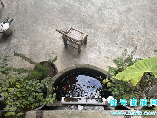 ½ţϪ԰·600ƽ͹תʵͼƬ