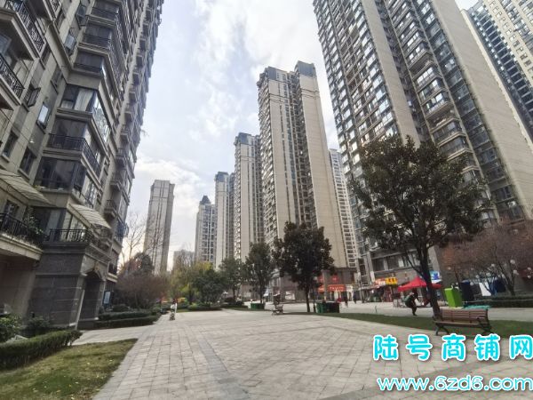 12ȫת2ǧС仪ͥԺתôͻʵͼƬ