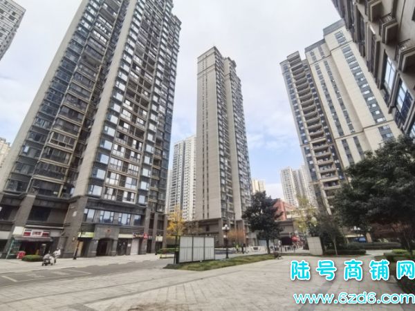 12ȫת2ǧС仪ͥԺתôͻʵͼƬ