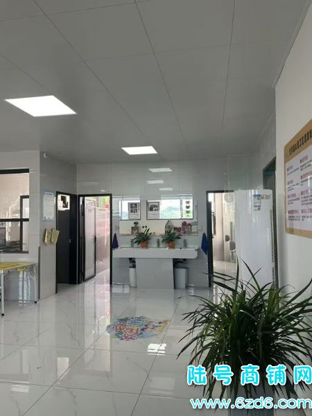 ��½�ţ���ɽ����������ó���й���ѵ��������Դ����ת��ʵ��ͼƬ