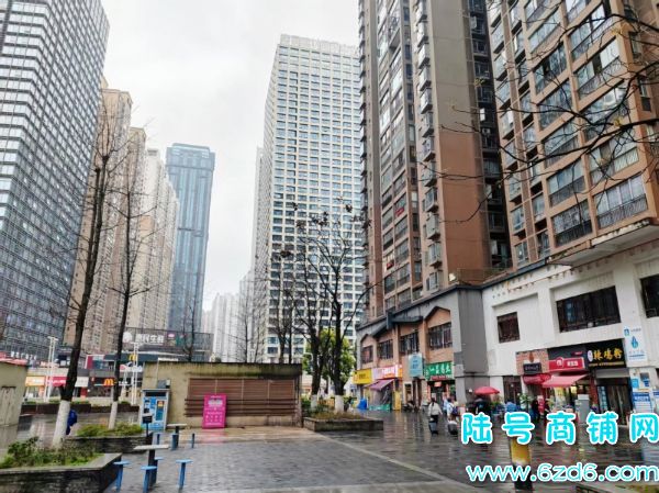 5������ ���г�������԰T1��8����Ӫ������ת��ʵ��ͼƬ