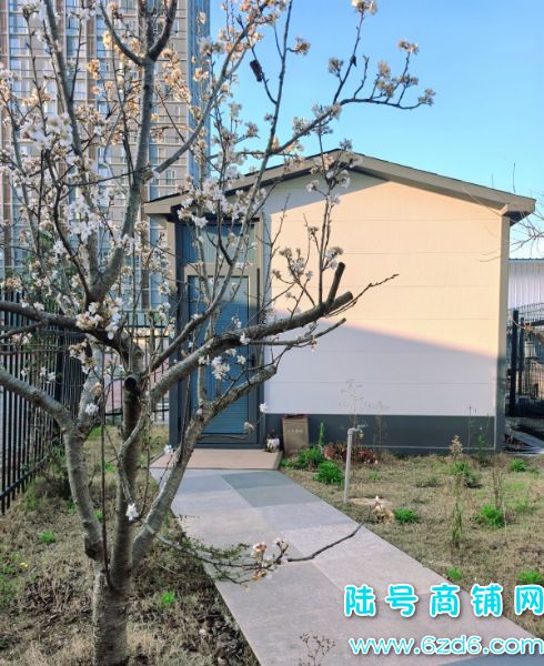 ��������칫���� ��������ե�ֺ���������¥�ϴ���԰ʵ��ͼƬ