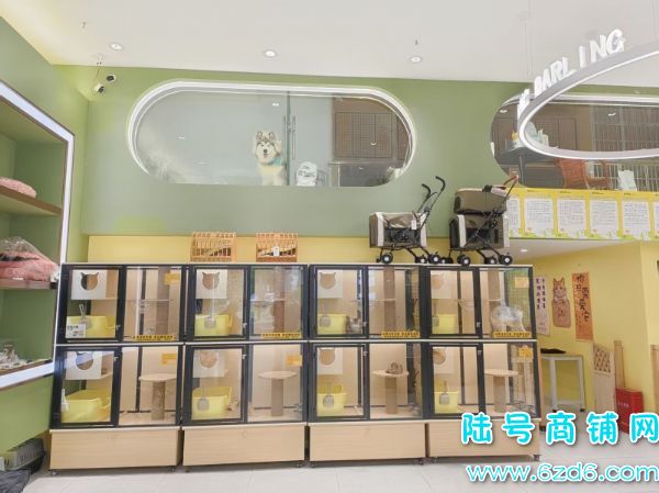 ��ɽ����������C��380ƽ�ǳ����ת�ã�����Ա�ͻ���ʵ��ͼƬ